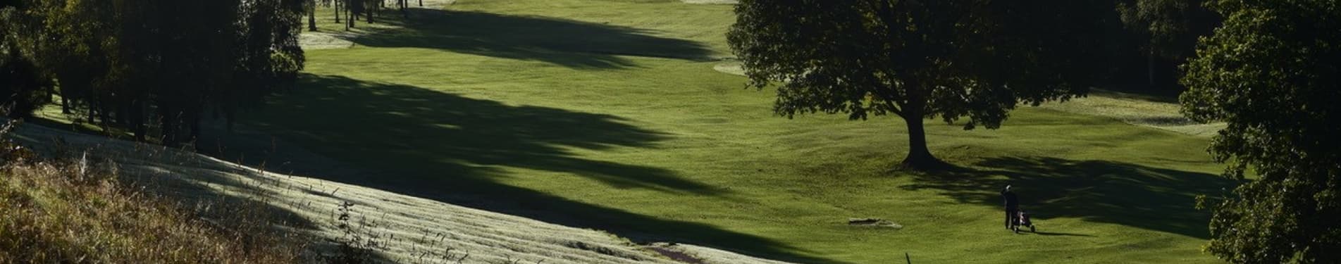 Avro Golf Club photo