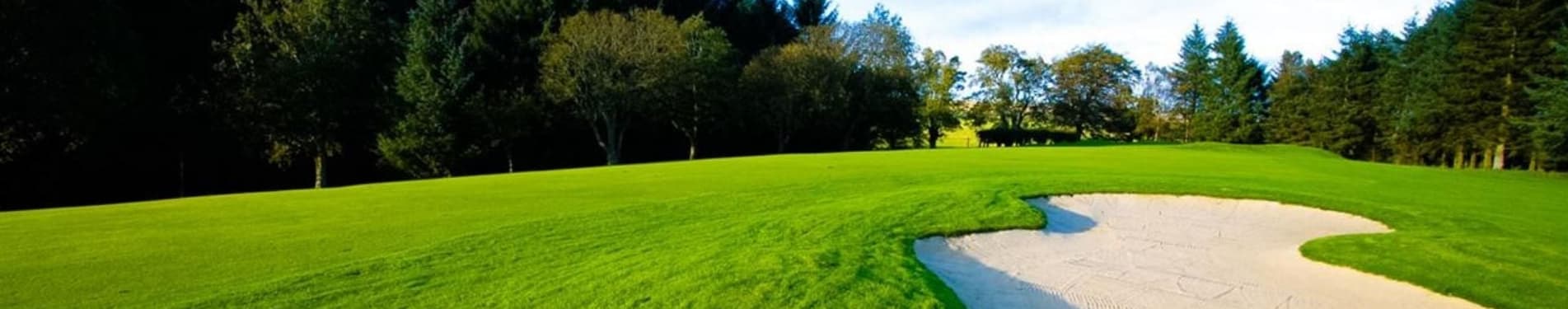 Balmore Golf Club photo