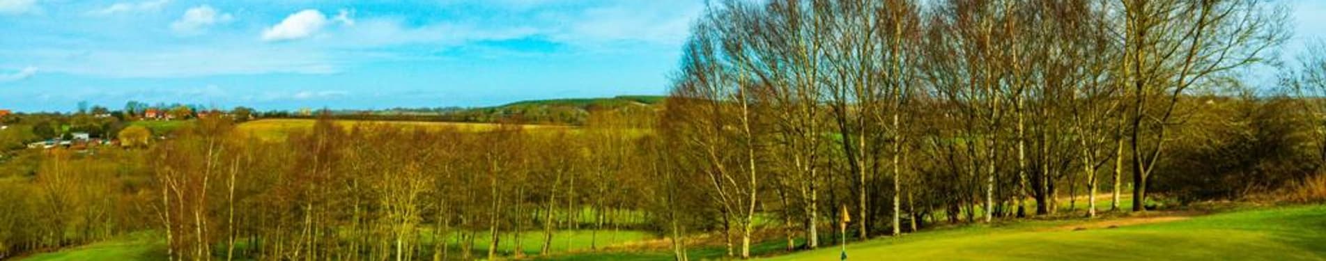 Brierley Forest Golf Club photo