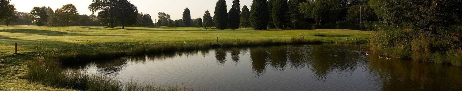 Ganstead Park Golf Club photo