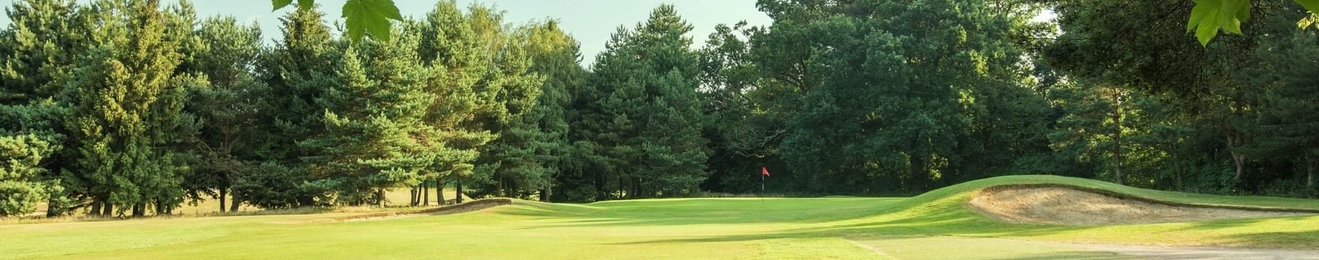Stockwood Park Golf Centre photo