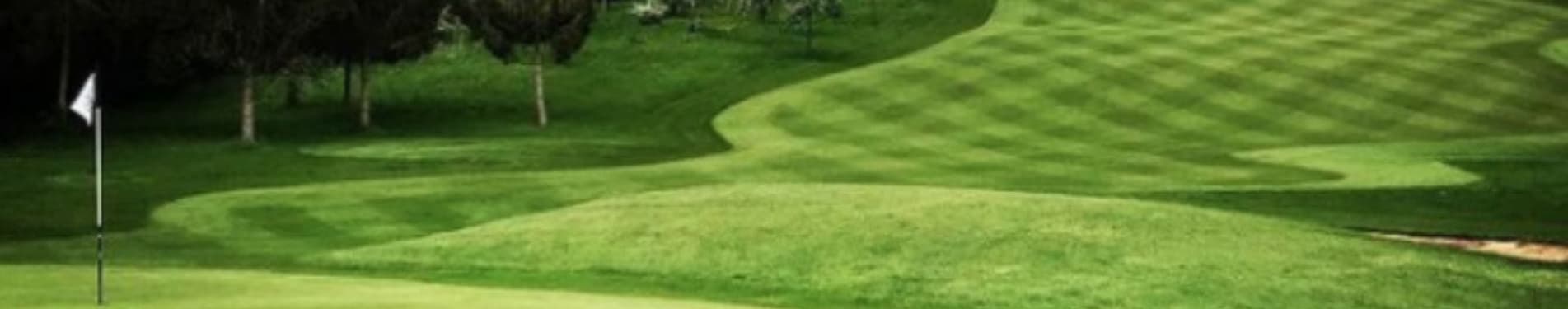 The Welcombe Golf Club photo