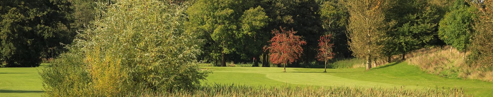 Theale Golf Club photo