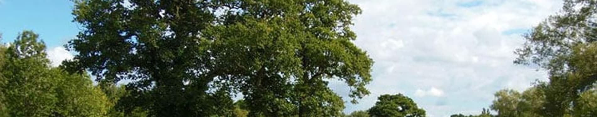 Wheathill Golf Club photo